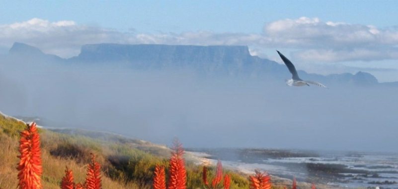 Bontkop Guest House
