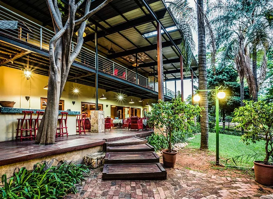 Outdoor patio with wooden stairs plants and upperlevel seating area