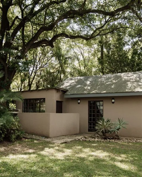 Modern house with a green lawn and trees in the background