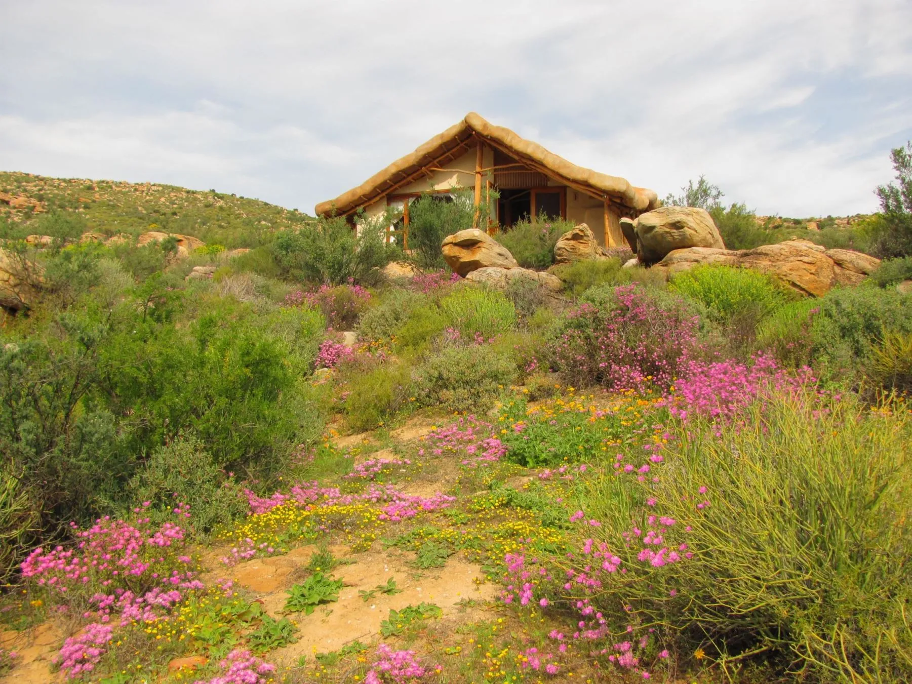 Thatchedroof house surrounded by colorful flowers and rocky landscape
