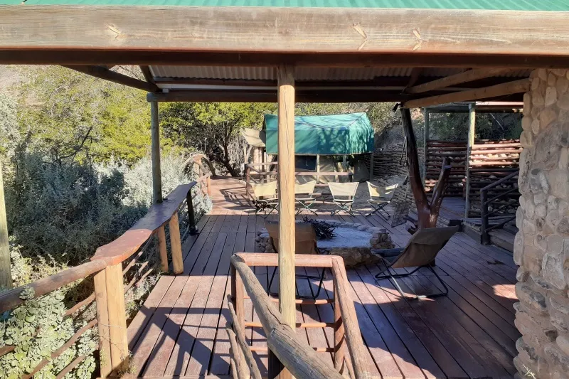 Wooden deck with lounge chairs and a greenroofed structure in a natural setting