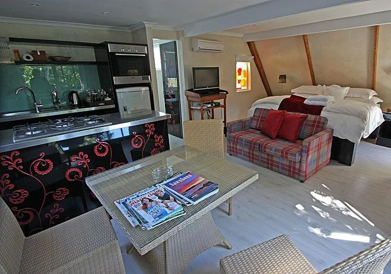 Cozy studio apartment with kitchen living area and bed in one room