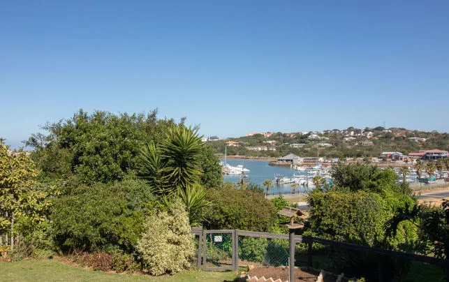 View of a harbor with boats and houses from a garden with greenery