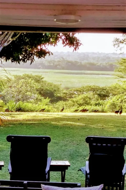 Two chairs on a porch overlooking a grassy field and distant trees