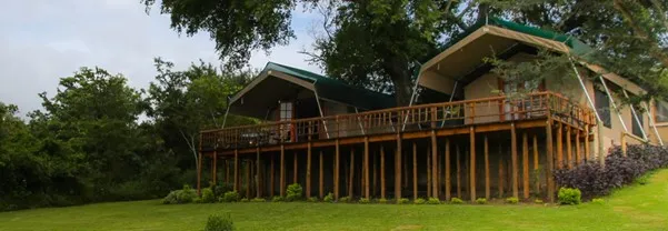 Elevated wooden cabins with green roofs surrounded by greenery and trees