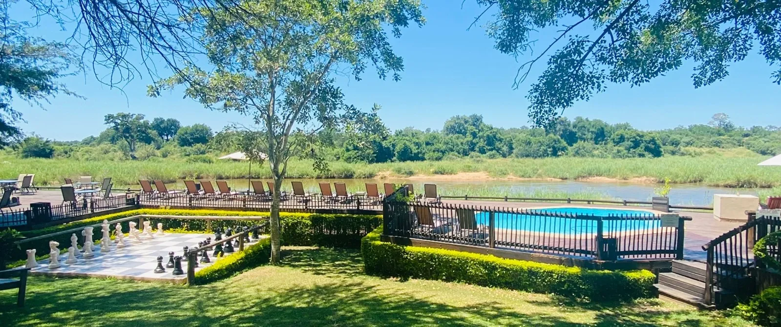 Outdoor pool area with lounge chairs trees and greenery by a river