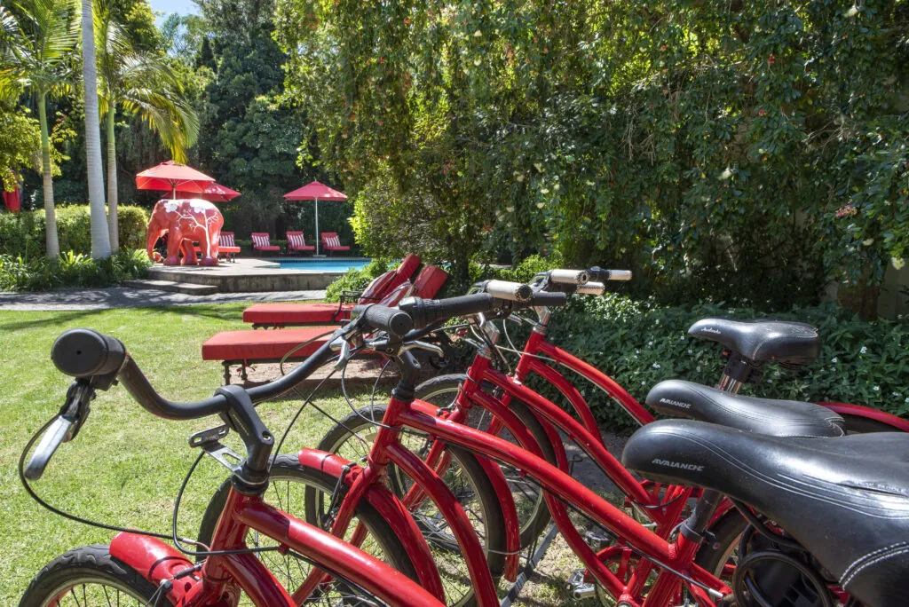 Row of red bicycles in a garden with a pool and lounge chairs in background