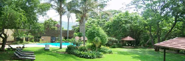 Lush garden with a swimming pool lounge chairs and tropical trees