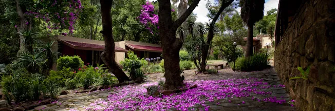 Pathway lined with trees and purple flowers leading to a building with a red roof