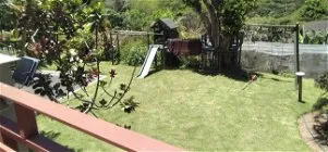 Backyard with slide trampoline and green lawn surrounded by trees and plants