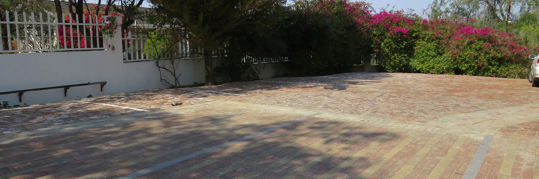 Brick driveway with white fence greenery and flowering bushes on the side