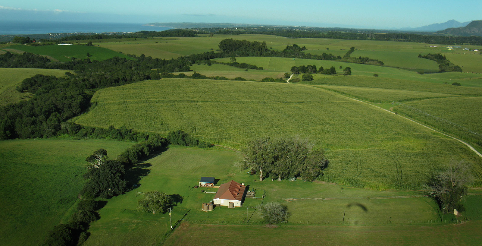 Libertas Guest Farm