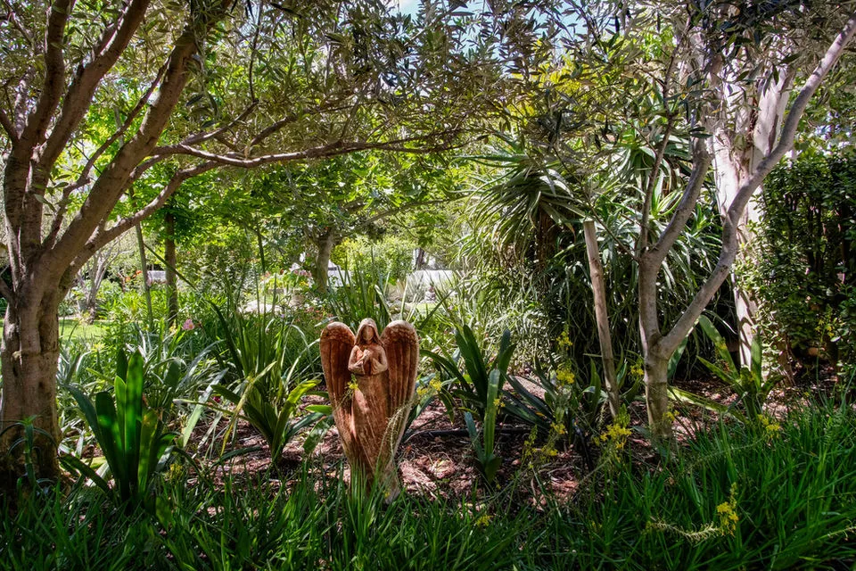 Wooden angel statue in a lush garden with various plants and trees