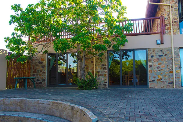 Stone house with large windows tree in front and paved patio area