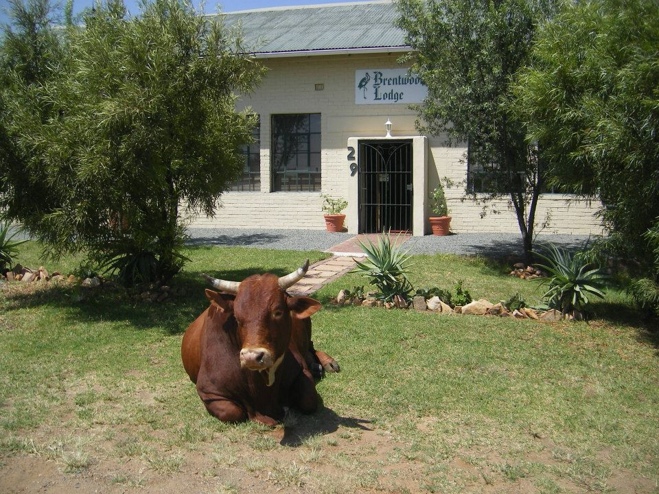 Brentwood Lodge