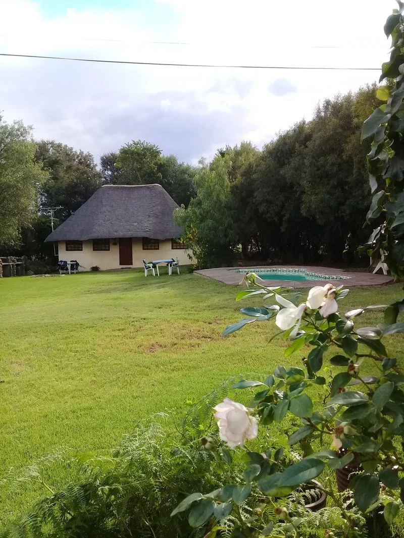 A thatchedroof house with a garden pool and greenery in the background