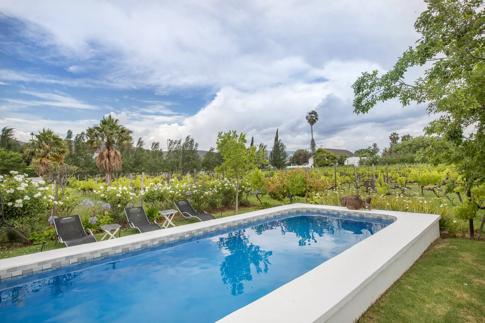 Swimming pool with lounge chairs in a garden with greenery and mountains in background