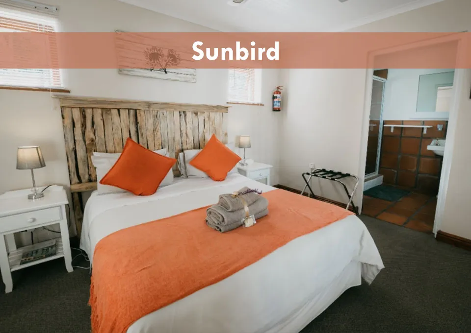 Cozy bedroom with a large bed orange pillows and an adjacent bathroom