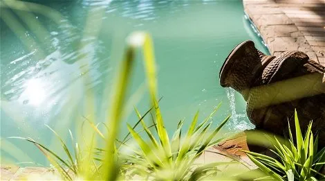 Water flows from a large pot into a pool surrounded by plants