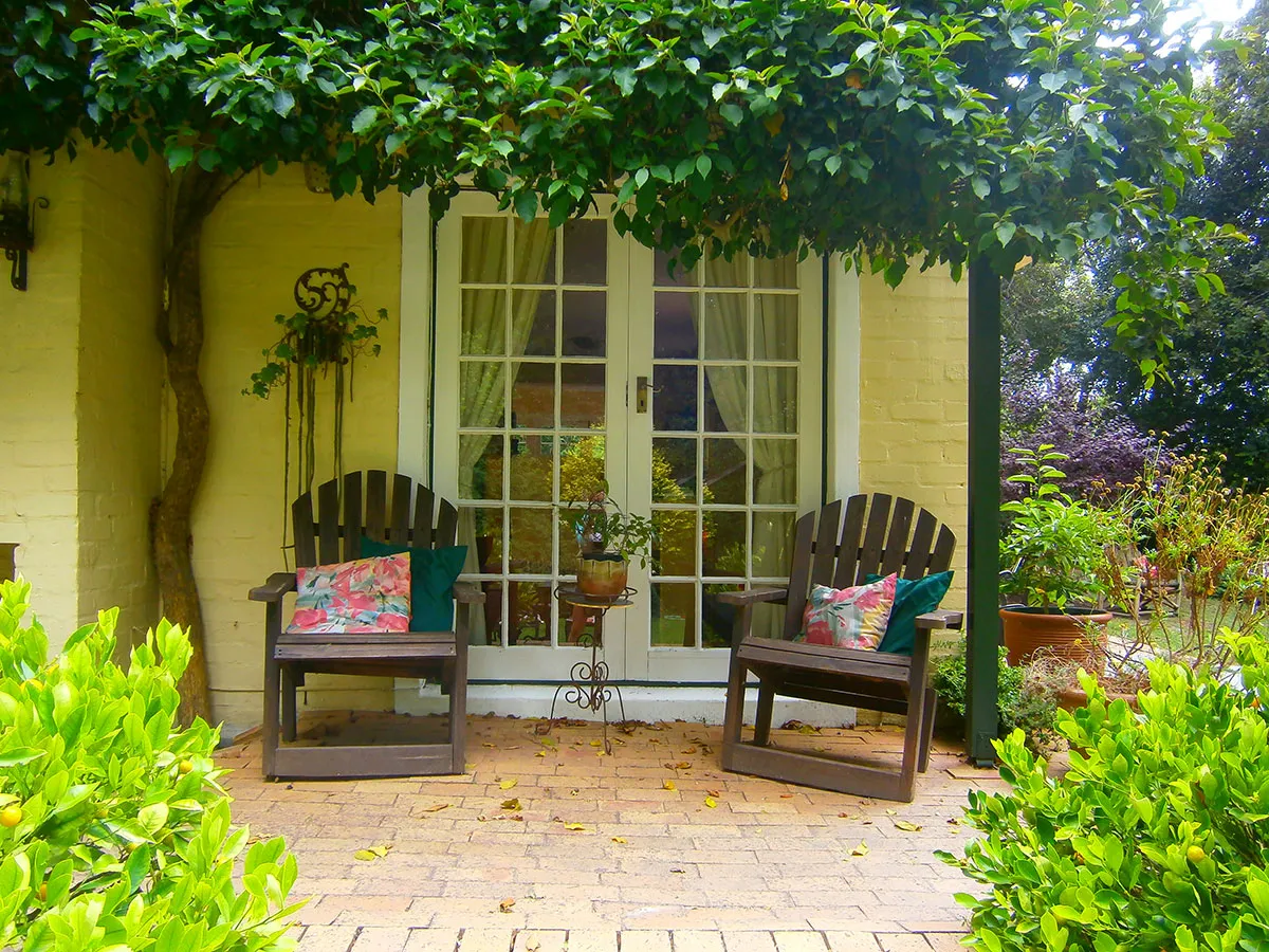 Two chairs with cushions under a leafy archway in front of a door