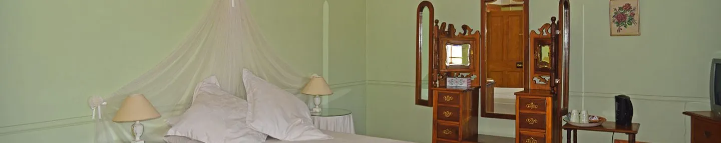 Bedroom with a large bed wooden wardrobe and a TV on a dresser