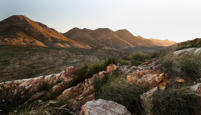 Dennehof Karoo Guesthouse