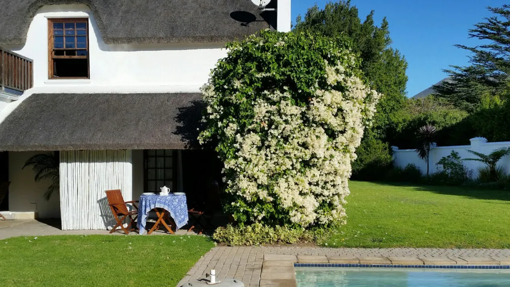 White house with thatched roof flowering tree patio furniture and green lawn
