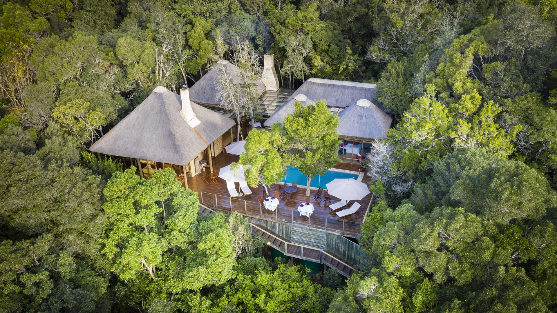 Trogon House & Forest Spa