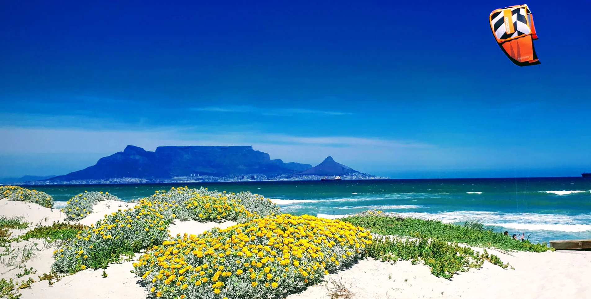 Kite surfing over a sandy beach with yellow flowers and ocean waves