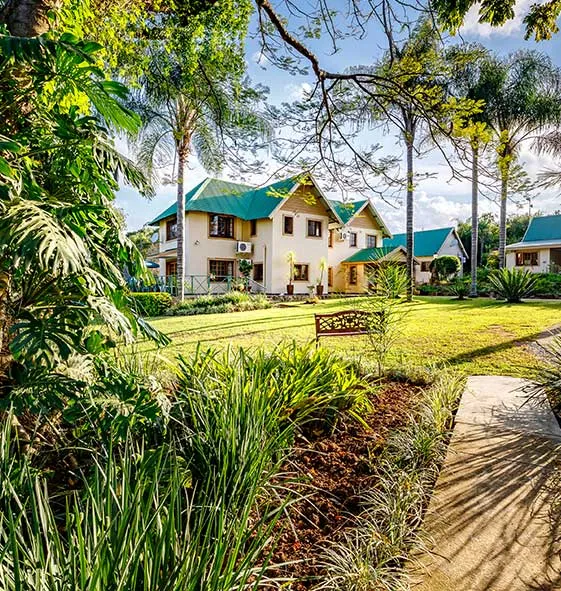 Green houses with palm trees and lush garden in a sunny setting