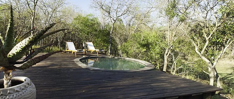 Wooden deck with small pool lounge chairs and surrounding greenery