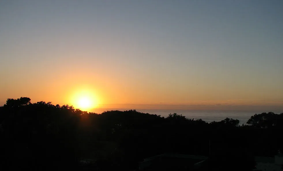 Sunset with the sun low on the horizon and silhouetted trees in the foreground