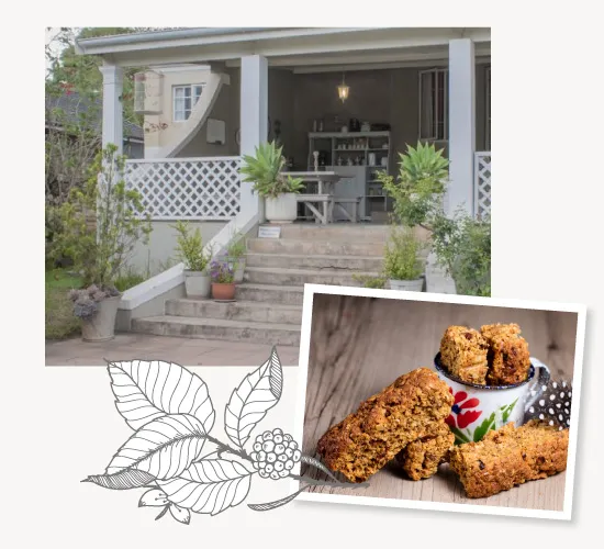 House with porch and potted plants coffee beans illustration and baked goods photo