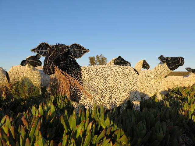 Karoo 1 Hotel Village