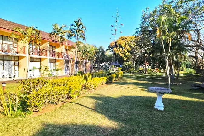 Hotel with yellow hedges palm trees and a birdbath in a sunny garden