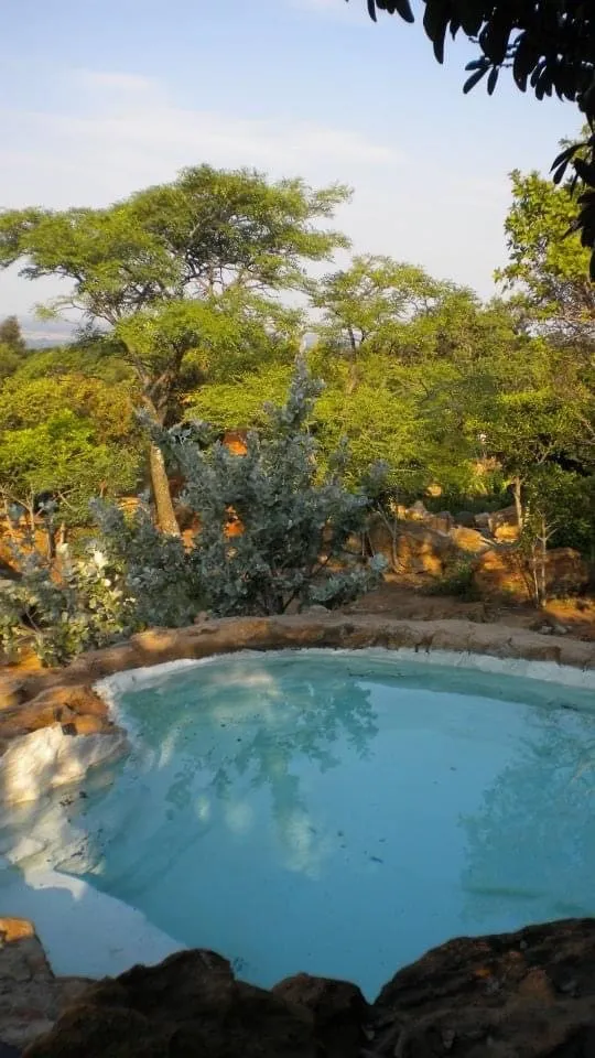 Small pool surrounded by trees and rocks in a natural setting