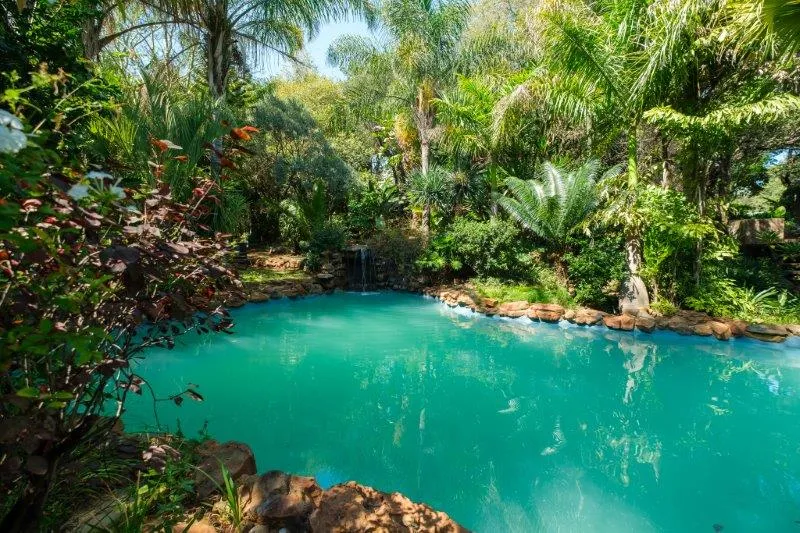 Tropical garden with a clear blue pool surrounded by lush greenery