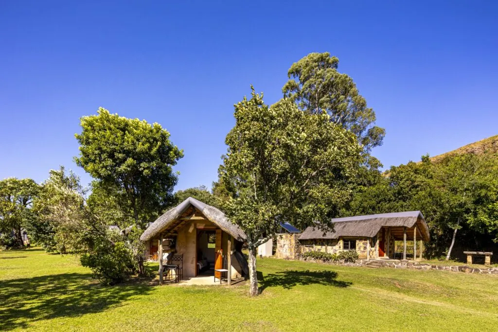 Thatchedroof huts in a lush green field with trees under a clear blue sky