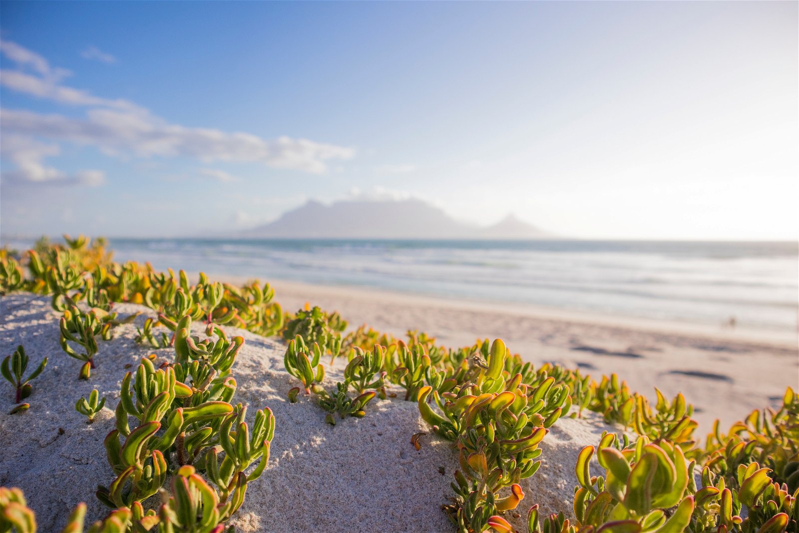 Bloubergstrand Secret Garden Guesthouse image 2