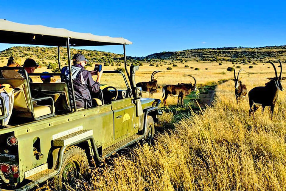 Letsatsi Private Game Lodge