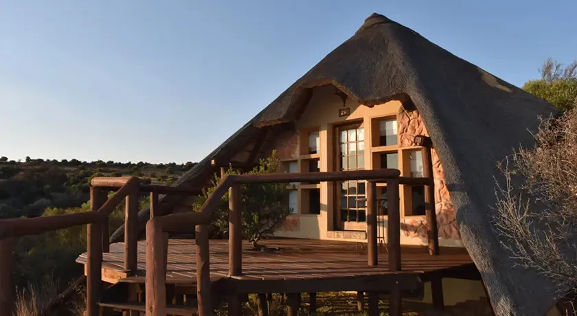 A wooden cabin with a thatched roof on stilts in a natural setting