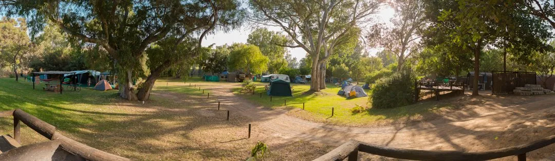 Campsite with tents and trees under sunlight surrounded by greenery
