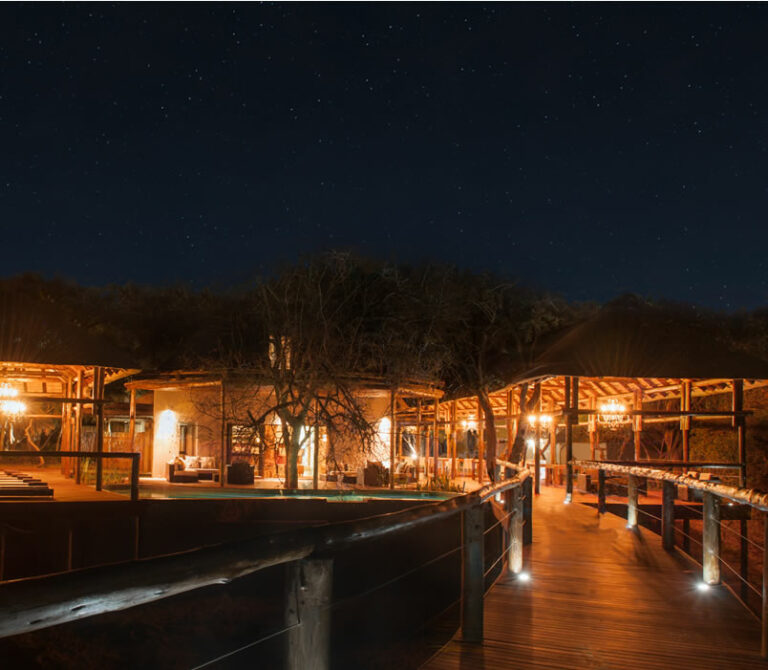 Night view of a lit outdoor seating area with trees and a wooden walkway.