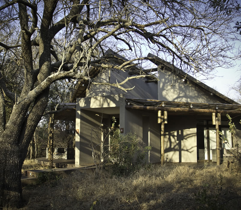 A rustic house with a large tree in a dry, grassy landscape.