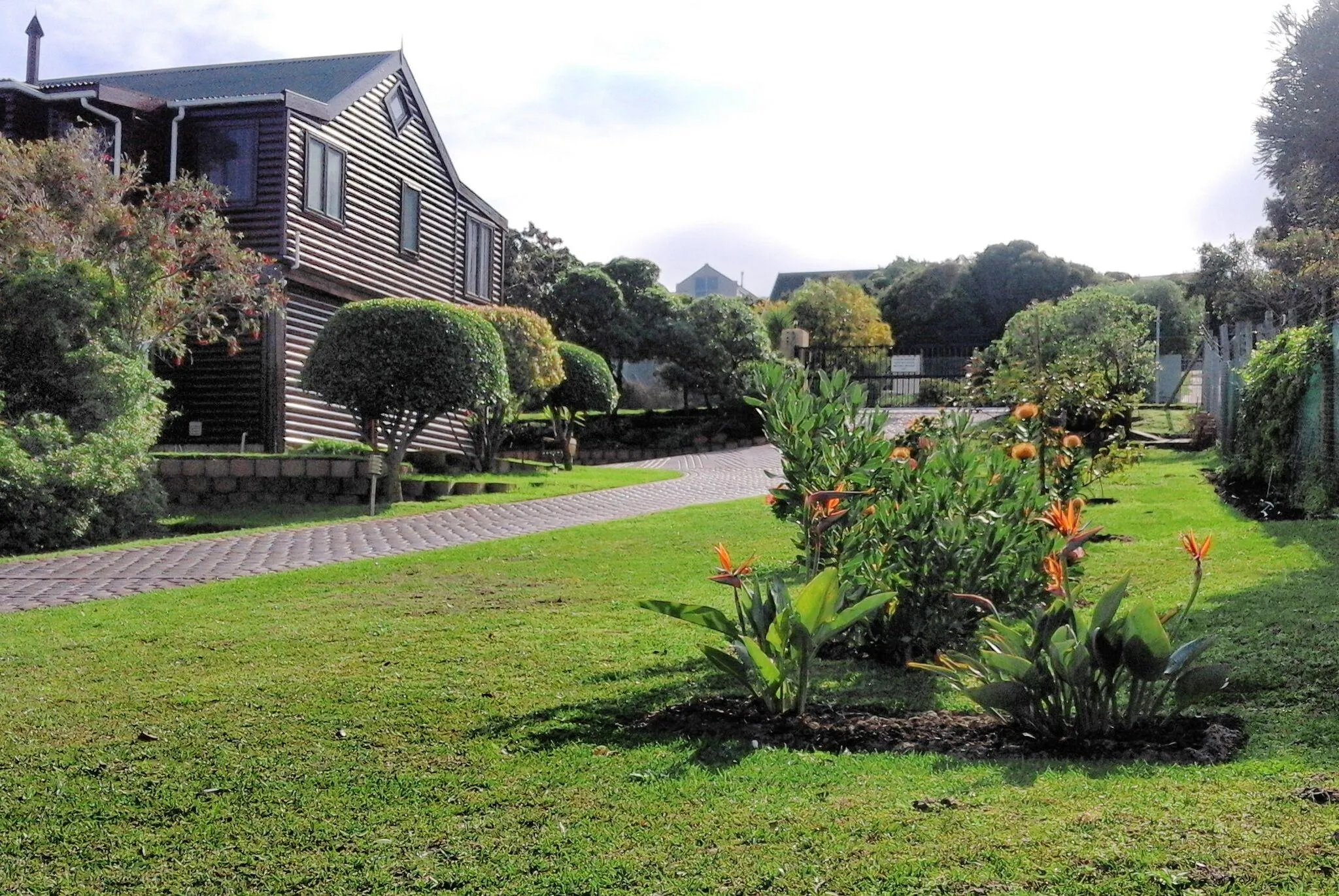 A house with a paved driveway and a garden with green plants and orange flowers