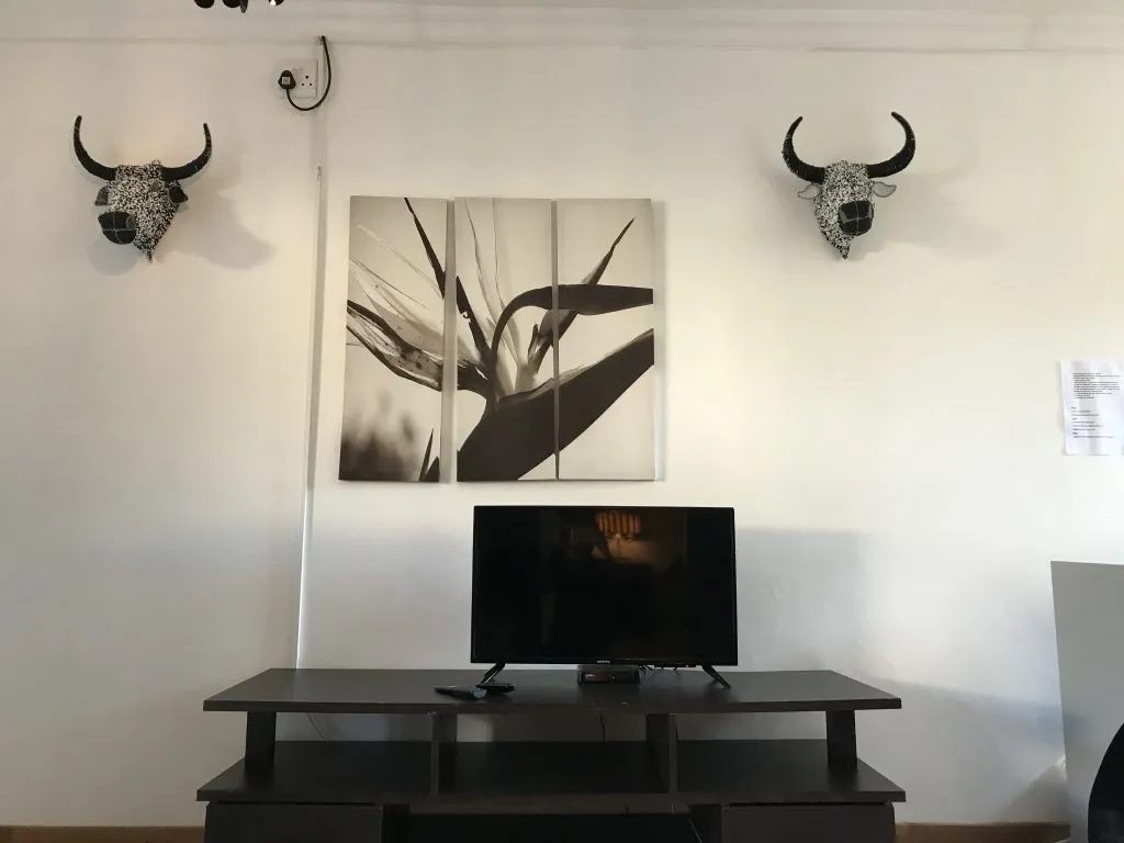 TV on a stand with wallmounted bull skulls and artwork above