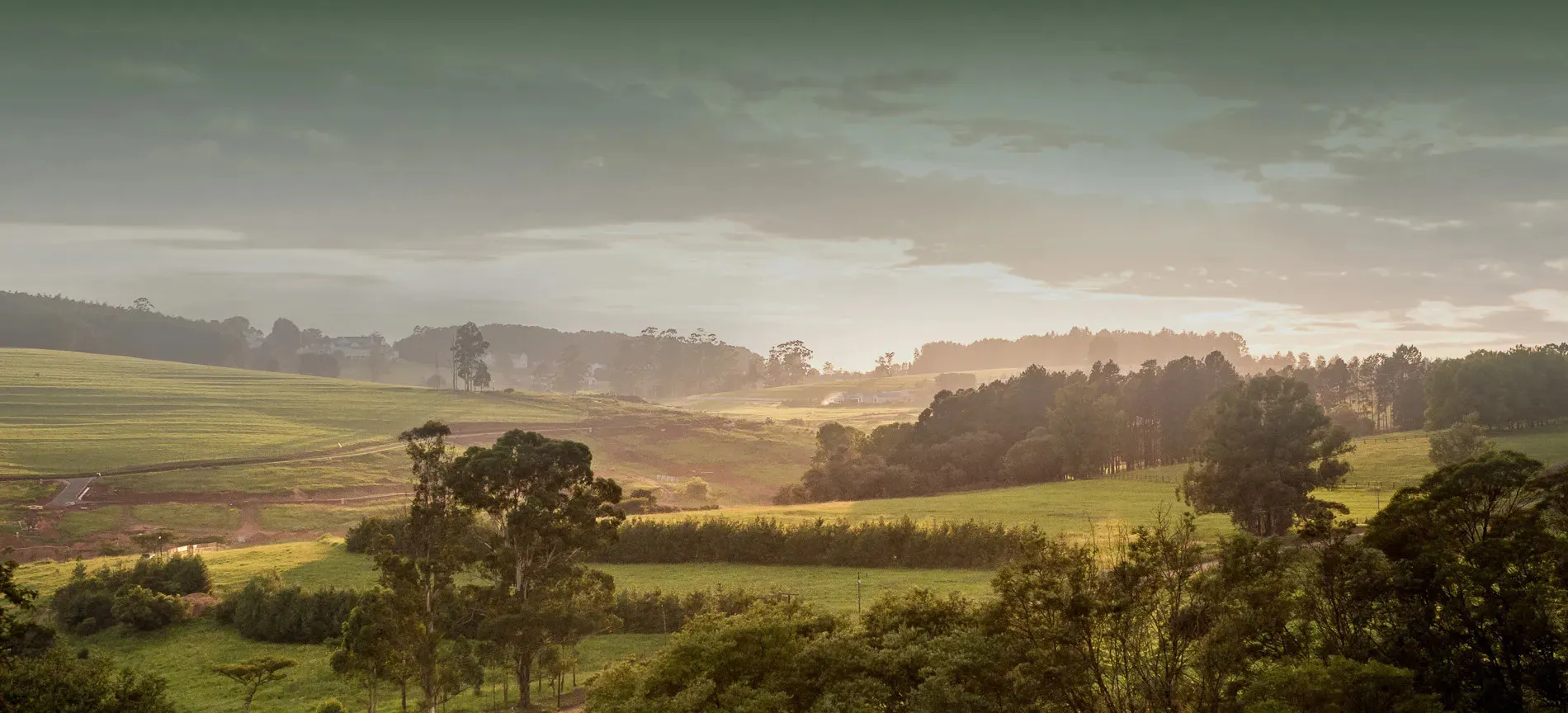 Rolling green hills with scattered trees under a cloudy sky at sunset