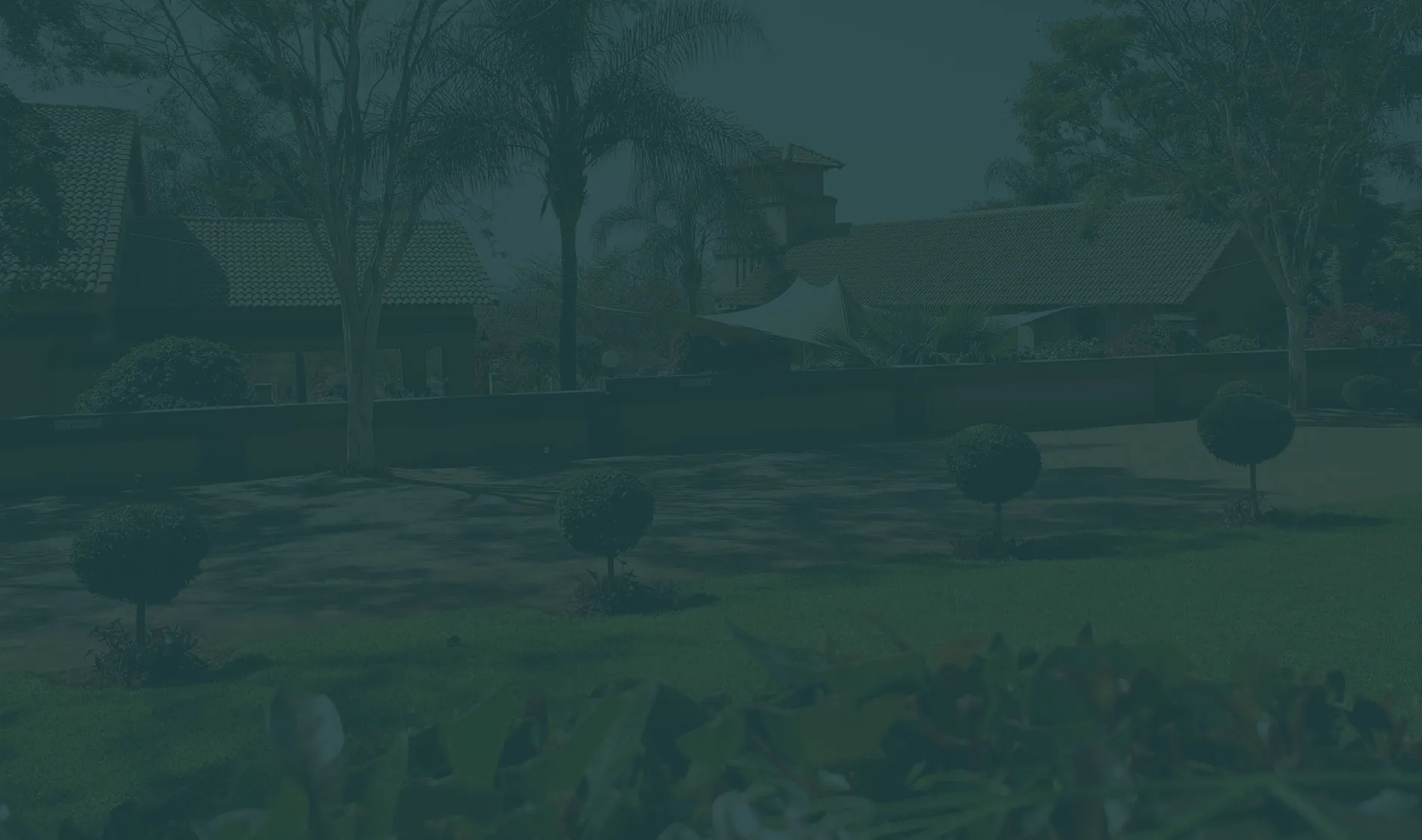 Garden with trimmed bushes trees and a house in the background