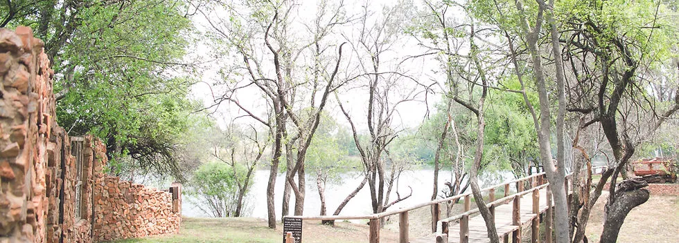 Pathway through trees leading to a wooden bridge over a river