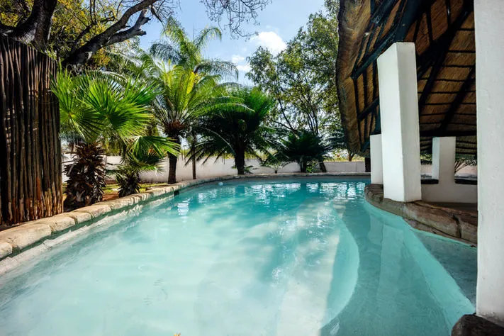 Swimming pool surrounded by palm trees and thatched structure